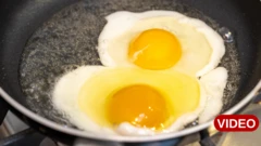 గుడ్లు, పాలు,  ప్రొటీన్లు, 