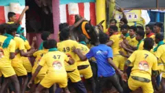 ஜல்லிக்கட்டு