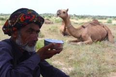 ਊਠਣੀ ਦੇ ਦੁੱਧ ਨੂੰ 'ਚਿੱਟਾ ਸੋਨਾ' ਕਿਉਂ ਕਿਹਾ ਜਾਂਦਾ ਹੈ? ਊਠਣੀ ਦੇ ਦੁੱਧ ਵਿੱਚ ਅਜਿਹਾ ਕੀ ਹੁੰਦਾ ਹੈ ਜੋ ਗਾਂ ਜਾਂ ਮੱਝ ਦੇ ਦੁੱਧ ਵਿੱਚ ਨਹੀਂ ਹੁੰਦਾ