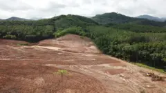 जंगल