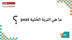 learning English