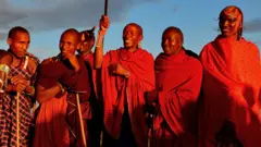 ፕሮግራም ሓለውቲ ኣንበሳ ሕብረተሰብን ኣናብስን ብሓባር ዝነብርሉ ኩነታት ንምፍጣር ዝዓለመ'ዩ