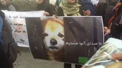 پلیس ایران حیوان آزاران را تعقیب می‌کند