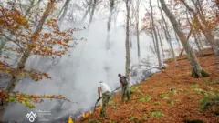 požar na staroj planini kod toplog dola