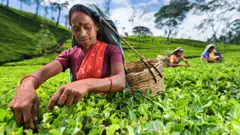 શ્રીલંકા