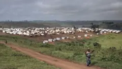 መዓስከር ተፈናቐልቲ