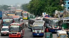bus
