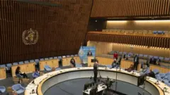 WHO Asamblesi