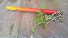 சுற்றுச்சூழல் பேனா
