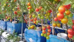 একবার সিস্টেম দাড়িয়ে গেলে পরে আর খরচ নেই বলে বলছেন এম এ সালাম