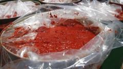 Tomato akwọrọakwọ