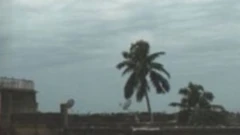 ਅੰਫ਼ਨ ਤੂਫਾਨ