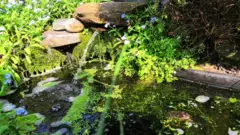 Вода