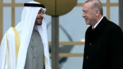 أردوغان وبن زايد