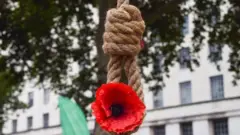 ጽጌረዳ ዝሓዘ ገመድ