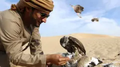 تلور