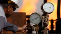 Doğal gaz
