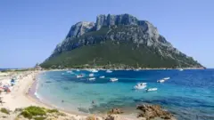 किंगडम ऑफ टवोलारा