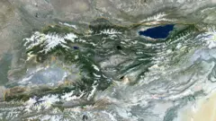 карта