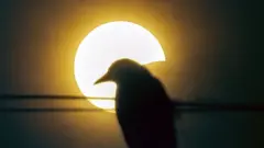 मुम्बई