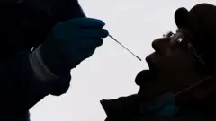 Medical staff collects a swab sample from a woman at a test centre in Germany