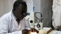 Scientist in Burkina Faso