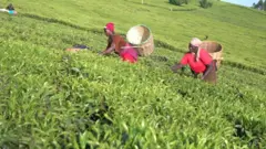 Kenya