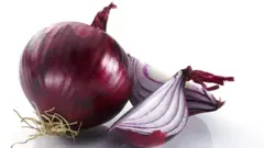 পেঁয়াজ