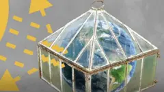 کاربن ڈائی آکسائیڈ