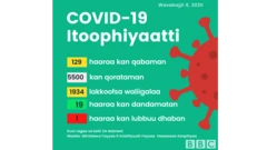 Haala guuyyaa Itoophiyaa