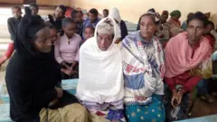 ካብ ዞባ ሲዳማ ተመዛቢሎም ኣብ ክልል ኦሮምያ ዞባ ጉጂ ቦሬ ወረዳ ካብ መንጎ ዘጽለሉ ሰባት