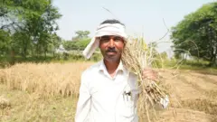किसान