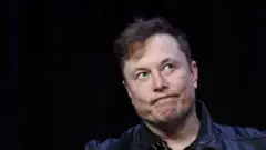Зведення першої фабрики Tesla в Європі призупинили через змій і ящірок