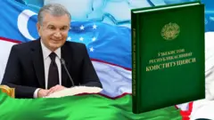Konstitusiya