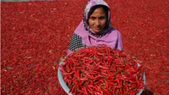 مرچ