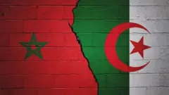 قطع العلاقات الدبلوماسية بين الجارتين المغاربيتين