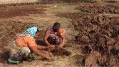 લખતર