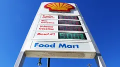 shell