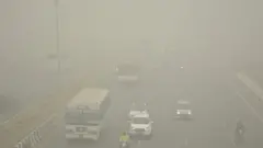 vozila u njudelhiju