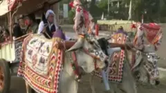 बारात