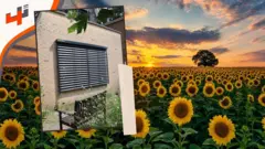 ستائر ذكية تتعقب الشمس لتوليد الكهرباء من الطاقة الشمسية