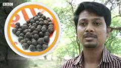 విత్తనాల బ్యాంకు పెట్టిన ఉపాధ్యాయుడు