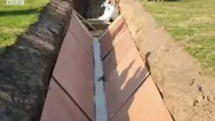Qubuuro