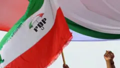 Ọkọlọtọ PDP