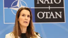 Belçika Dışişleri Bakanı Sophie Wilmès