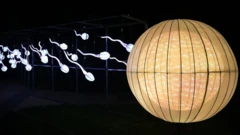 حيوانات منوية تلقح بويضة