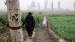 விவசாயம்