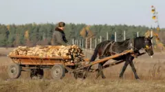 Деревина, дрова, село 