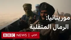 لماذا يطعم موريتانيون ماشيتهم الورق المقوى؟