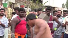 మాల మాస్టీన్‌ల విన్యాసాలు